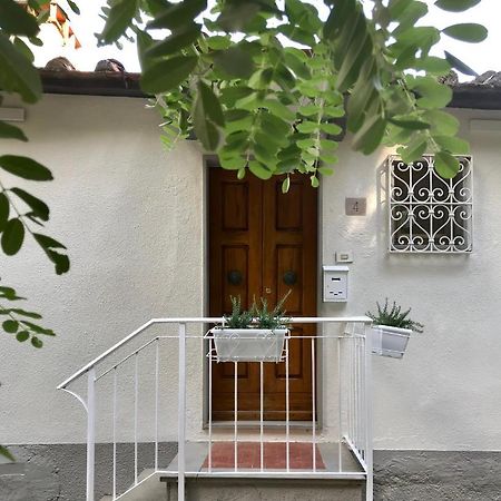 Rustico Rosmarino Villa Castiglion Fiorentino Exterior photo
